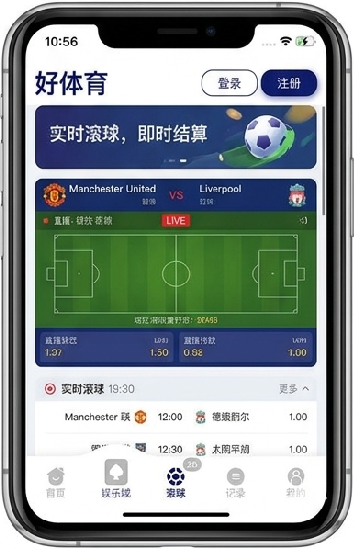 333体育APP